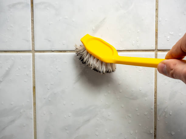 Best Professional Mold Removal  in Spearville, KS