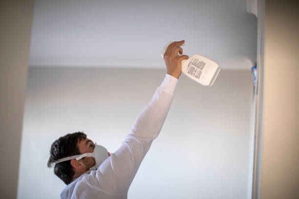 Office Mold Removal Services in Spearville, KS