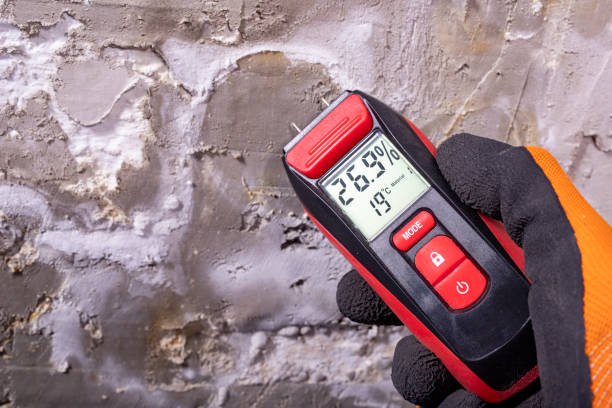 Best Certified Mold Removal  in Spearville, KS