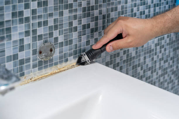Best Commercial Mold Removal  in Spearville, KS
