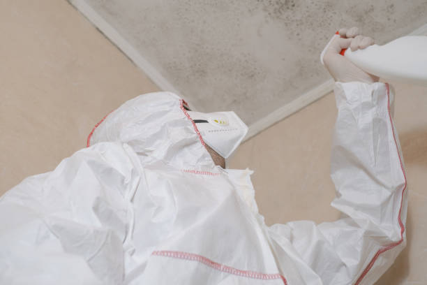 Professional Mold Removal in Spearville, KS