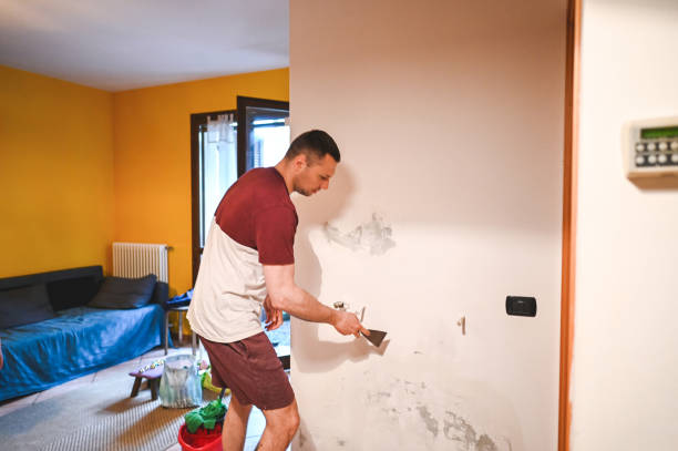Mold Removal and Inspection in Spearville, KS